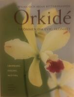Orkid&eacute; : Dr&ouml;mmen om evig sk&ouml;nhet