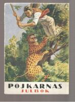 Pojkarnas Julbok 1943 Paradisdalen  &Auml;ventyrsroman f&ouml;r pojkar