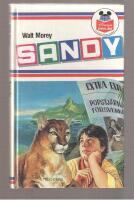 Sandy