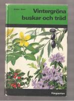 Vintergr&ouml;na buskar och tr&auml;d Tr&auml;dg&aring;rdens barrv&auml;xter Vintergr&ouml;na bladb&auml;rande buskar och tr&auml;d
