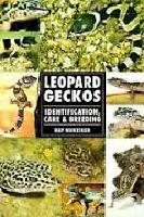 Leopad geckos - identification, care & breeding