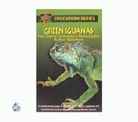 Green Iguanas