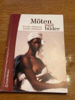 M&ouml;ten med bilder : analys och tolkning av visuella uttryck