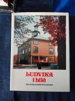 Ludvika i bild : fr&aring;n brukssamh&auml;lle till centralort