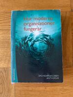 Hur moderna organisationer fungerar