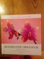 Bed&aring;rande orkid&eacute;er