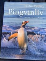 Pingvinliv