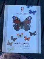 Fj&auml;rilar : dagfj&auml;rilar. Hesperiidae : nymphalidae