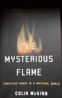 The Mysterious Flame