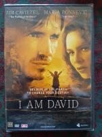 I am David (Inplastad)