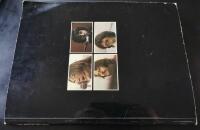 The Beatles Get Back