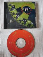 Street Fighting Years