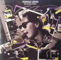 En Galen Kv&auml;ll (2 x LP)