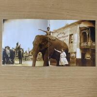 Hunger hotell (Signerad)