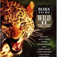 Born To Be Wild II