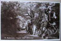 S&E   Blackwell Hollow . East Grinstead No 13 ..foto vykort  England