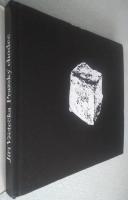 Prazsky Chodec: Kniha Fotografii Prahy No Motivy Vitezslava Nezvala