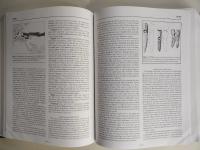 Encyclopedia of Indo-European Culture