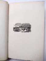 Tr&aelig;kfuglene Naturconcert