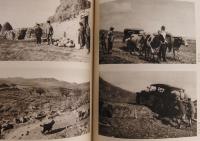 PERSISCHE TEPPICH GESELLSCHAFT A.G. 1911-1936