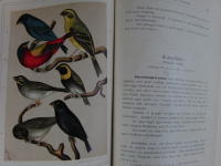 TROPEFUGLENES LIV I FANGENSKAB. HAANDBOG I FUGLENES R&Oslash;GT OG PLEJE OG OPDR&AElig;T. (1-2 i en volym)