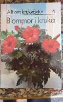 Allt om Krukv&auml;xter 4 Blommer i kruka