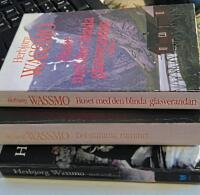 Huset med den blinda glasverandan