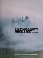 Like Virginity, Once Lost : five views on Nordic art now