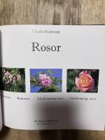 Rosor : kl&auml;tterrosor, buskrosor, klasblommiga rosor, storblommiga rosor