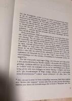 Realismens seger : litteraturkritiska ess&auml;er