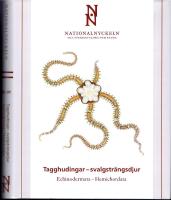 Tagghudingar - svalgstr&auml;ngsdjur /  Echinodermata - hemichordata