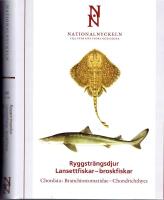 Nationalnyckeln, Ryggstr&auml;ngsdjur. Lansettfiskar - broskfiskar. (Chordata - Branchiostomatidae - Chondrichthyes)