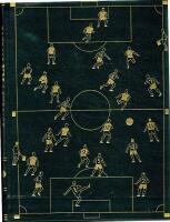FOTBOLL-VM I SVERIGE