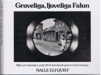 Gruveliga, ljuvliga Falun - Milj&ouml; och m&auml;nniskor under 80 &aring;r betraktade genom ett kamera&ouml;ga