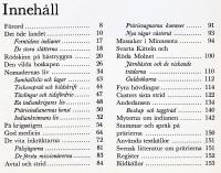 Indianerna p&aring; pr&auml;rien //sv. bearb.: Erik 'Uncas' Englund