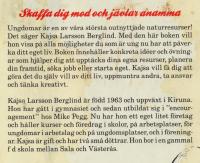 Skaffa dig mod och j&auml;vlar anamma : ung nu