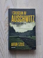 I skuggan av Auschwitz : f&ouml;rintelsen 1939-45
