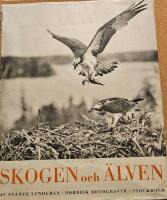 Skogen och &auml;lven