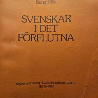 Svenskar i det f&ouml;rflutna