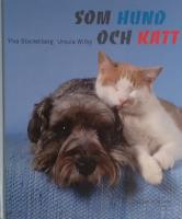 Som hund och katt