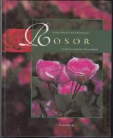 Rosor
