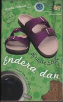 Endera dan