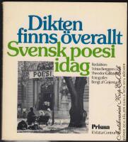 Dikten finns &ouml;verallt