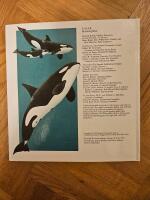 Valar : havens j&auml;ttar