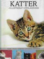 Katter - illustrerat uppslagsverk