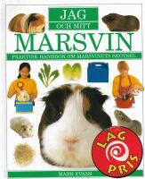 Jag och mitt marsvin