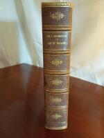 Sj&ouml;n Ngami av Charles John Andersson, 1856