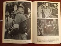 Folke Bernadotte