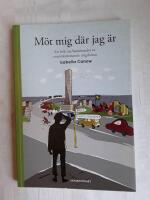 M&ouml;t mig d&auml;r jag &auml;r : en bok om bem&ouml;tandet av ensamkommande ungdomar