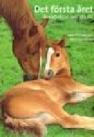 Det f&ouml;rsta &aring;ret Ber&auml;ttelsen om ett f&ouml;l